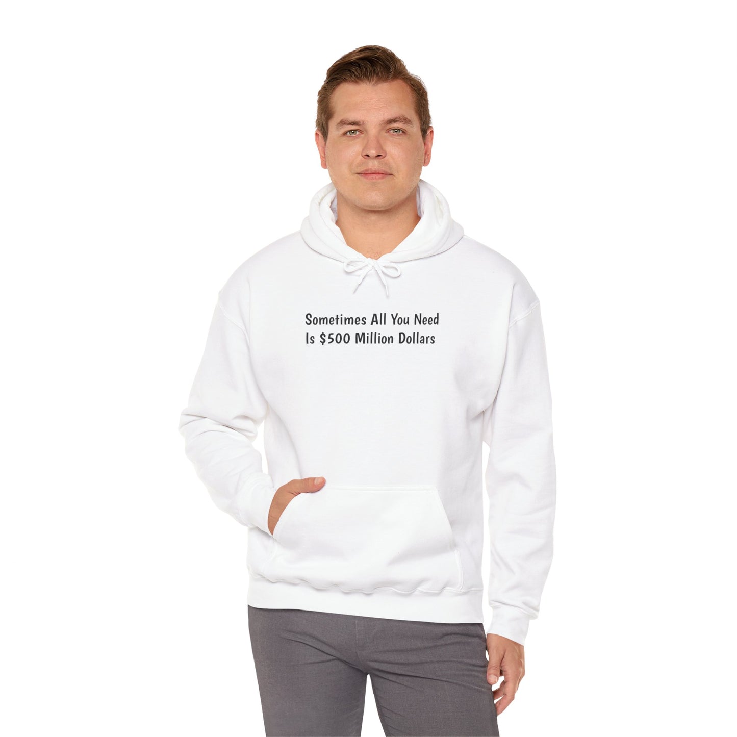 "Sometimes All You Need Is $500 Million Dollars" Hoodie