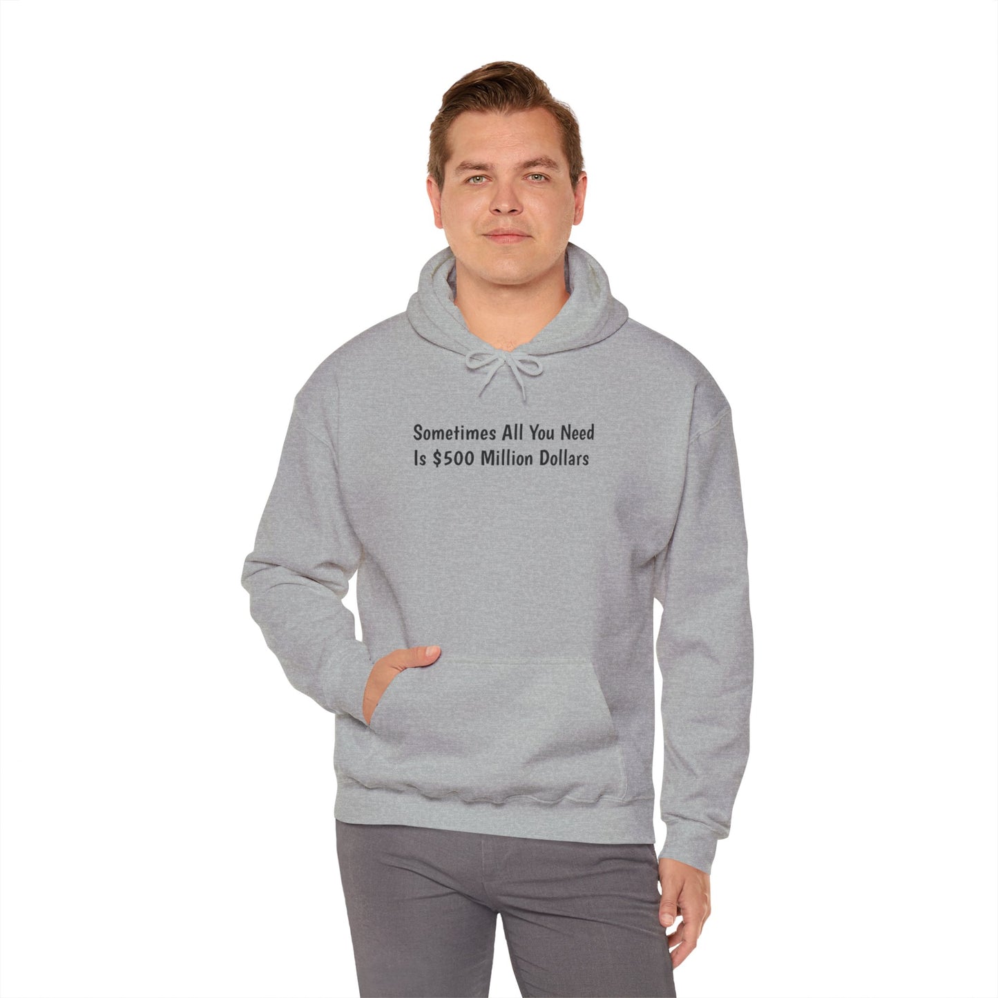 "Sometimes All You Need Is $500 Million Dollars" Hoodie