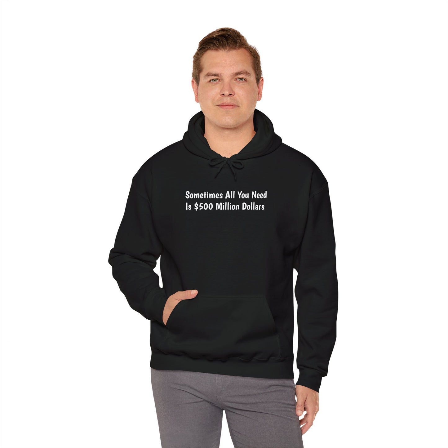 "Sometimes All You Need Is $500 Million Dollars" Hoodie